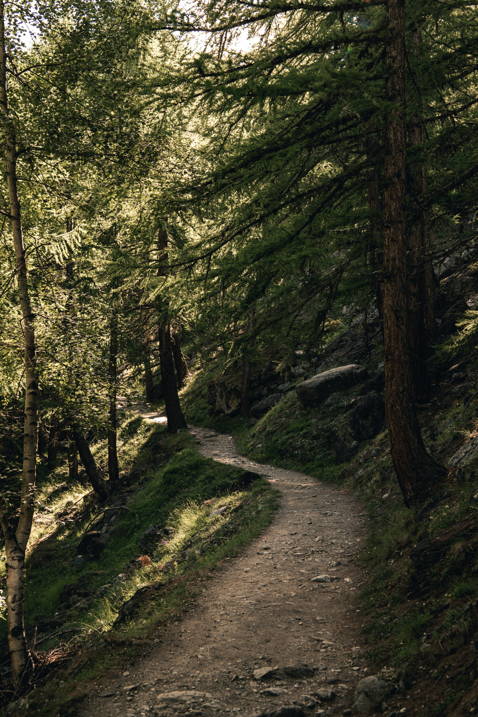 Walking Path