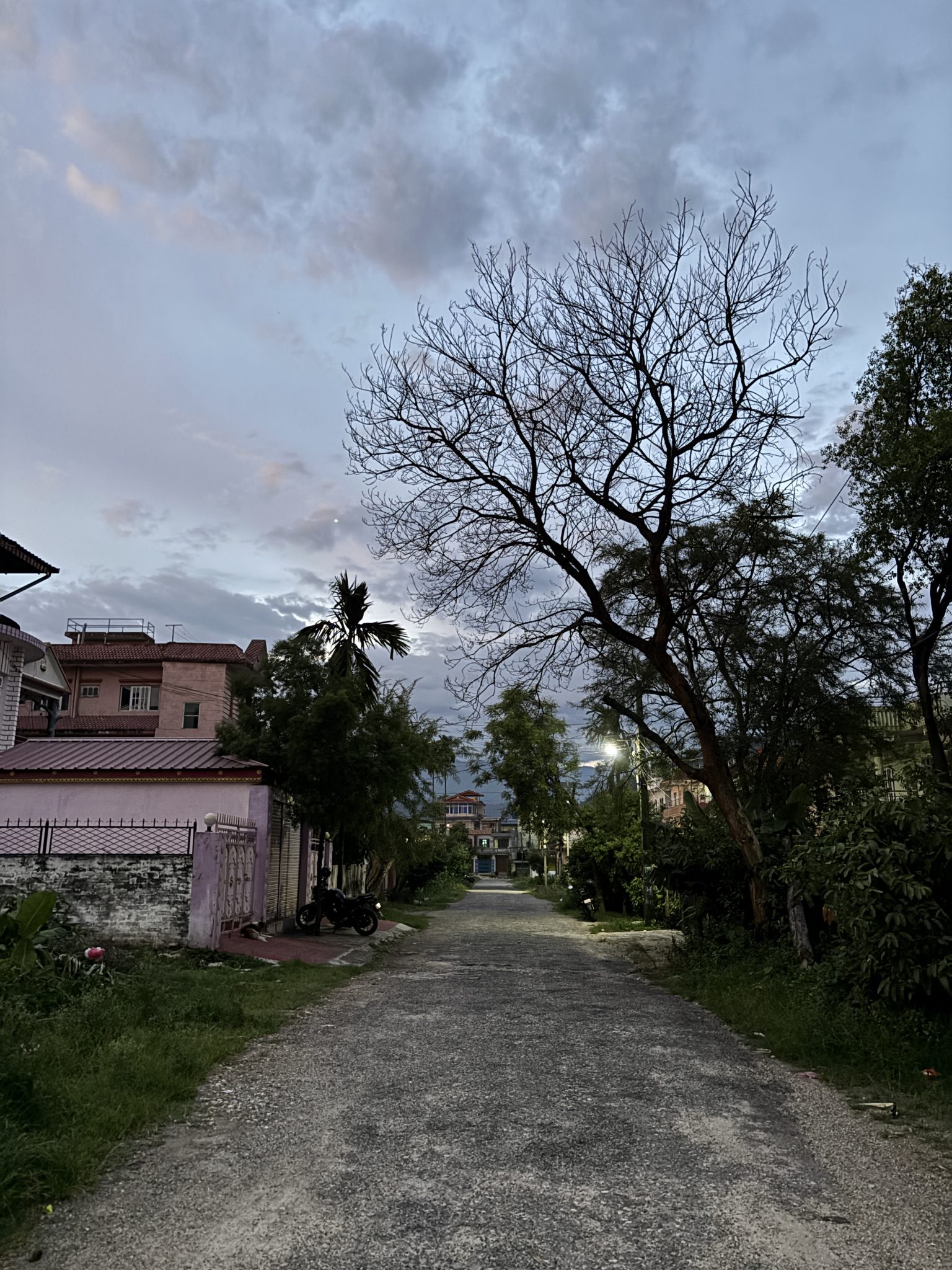 A quiet residential street at dusk, lined with trees and houses. On the left, a pink house with a re