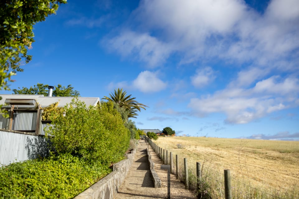 Walking Path