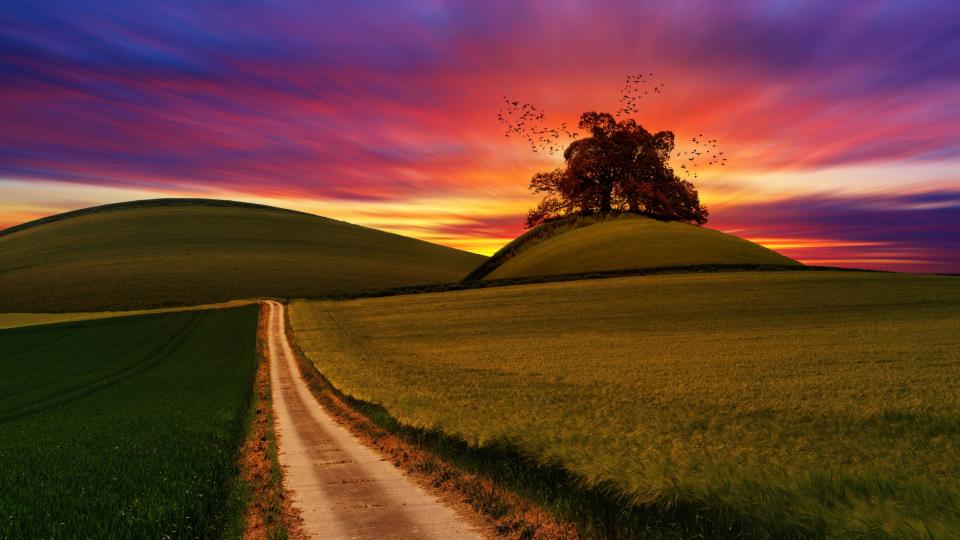 Green Field