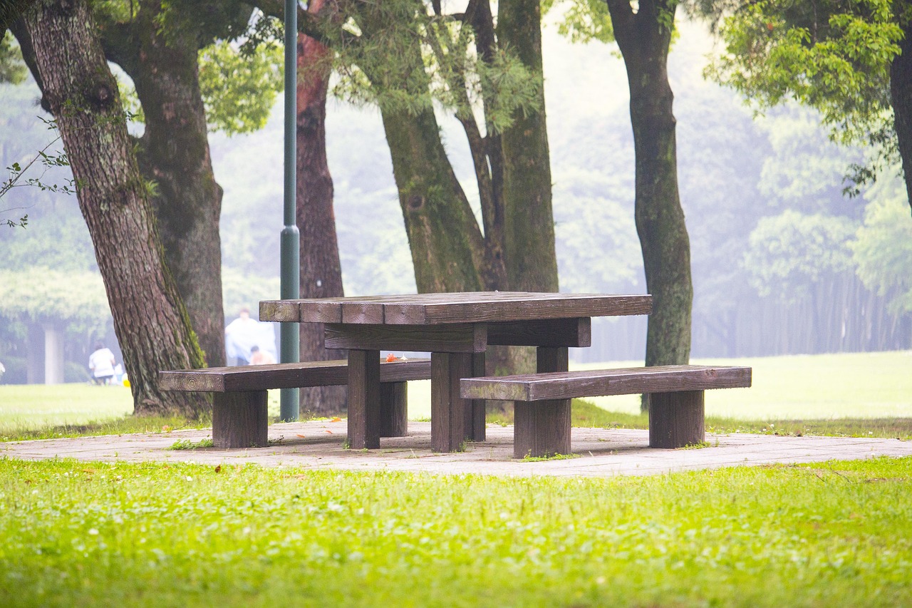 park, bench, outdoors