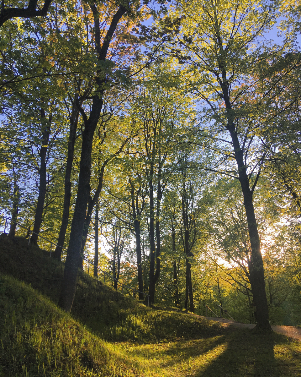 Walking Path