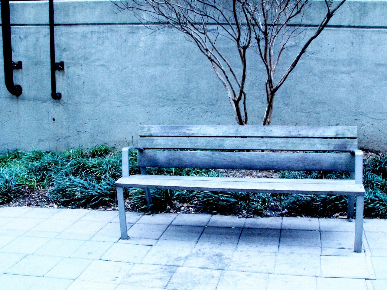 bench, city, empty