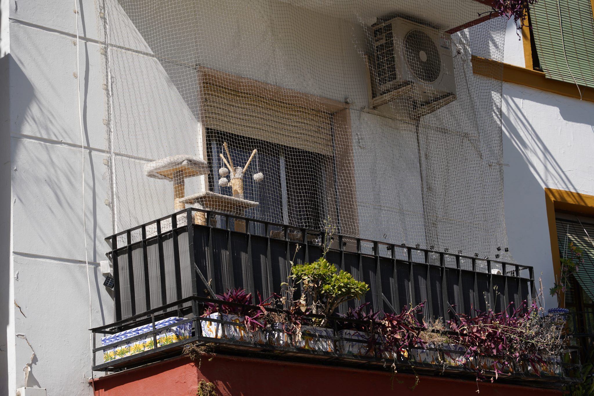 A balcony with a black railing and decorative potted plants. A cat tree with a small platform and da