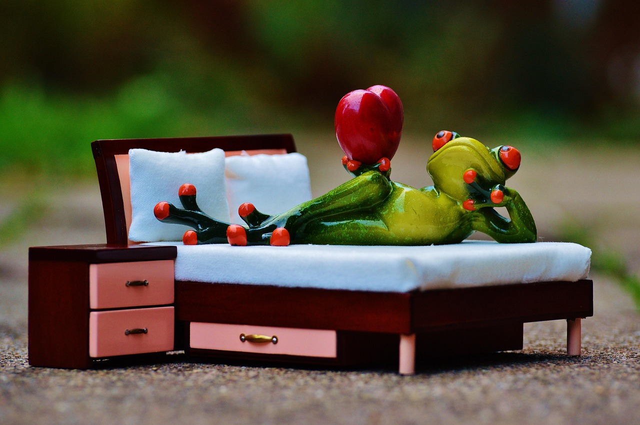 frog, in love, bed
