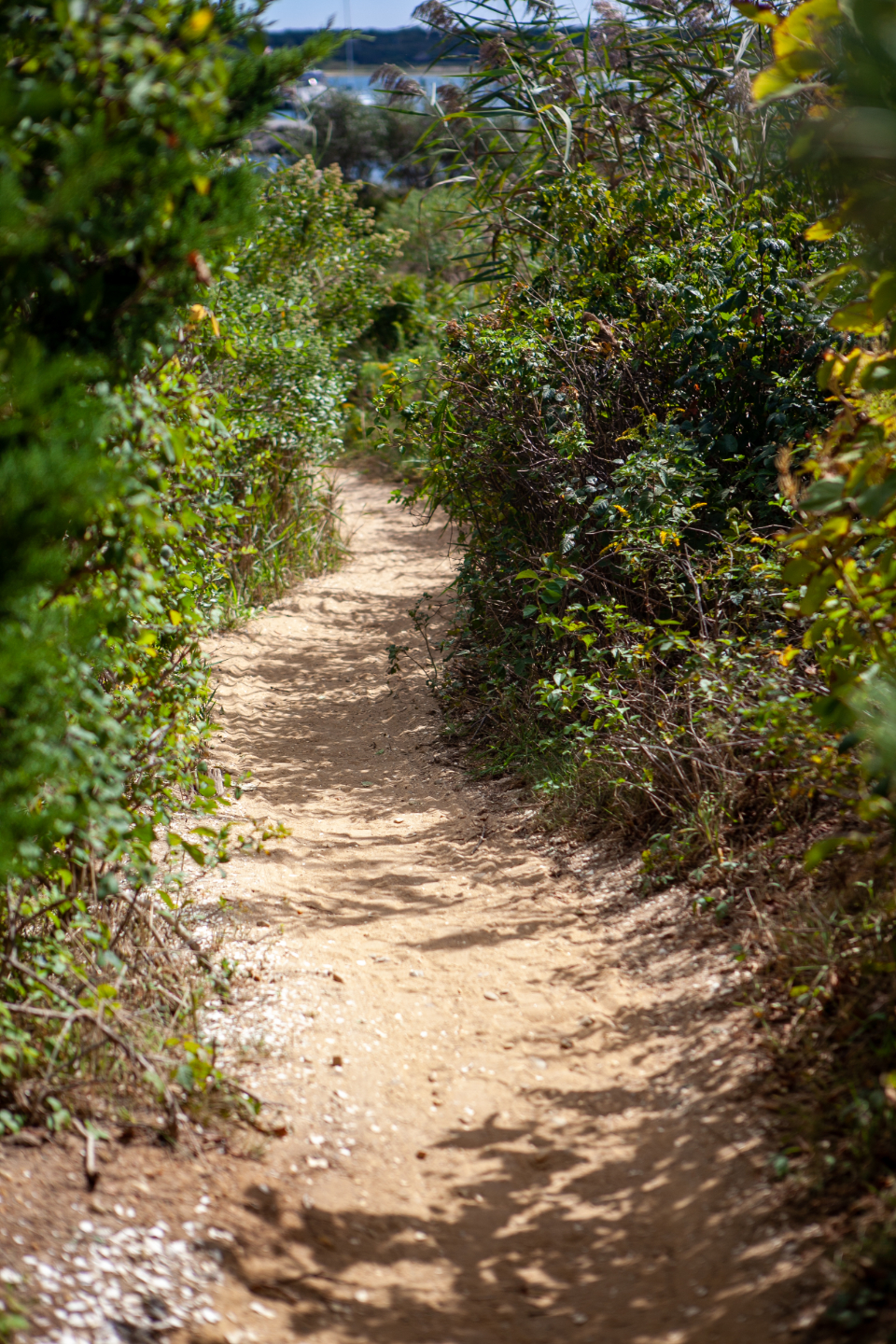 Walking Path